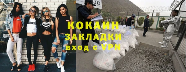 трава Белокуриха