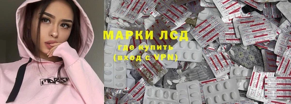 трава Белокуриха