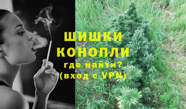 трава Белокуриха