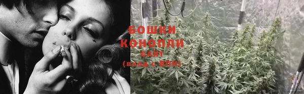 трава Белокуриха